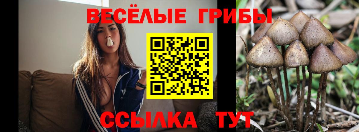 Галлюциногенные грибы GOLDEN TEACHER Гай