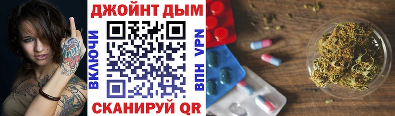 Каннабис OG Kush  Гай 