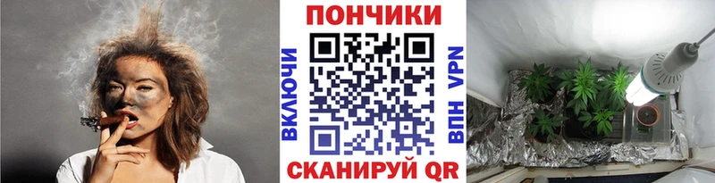 Конопля гибрид Гай